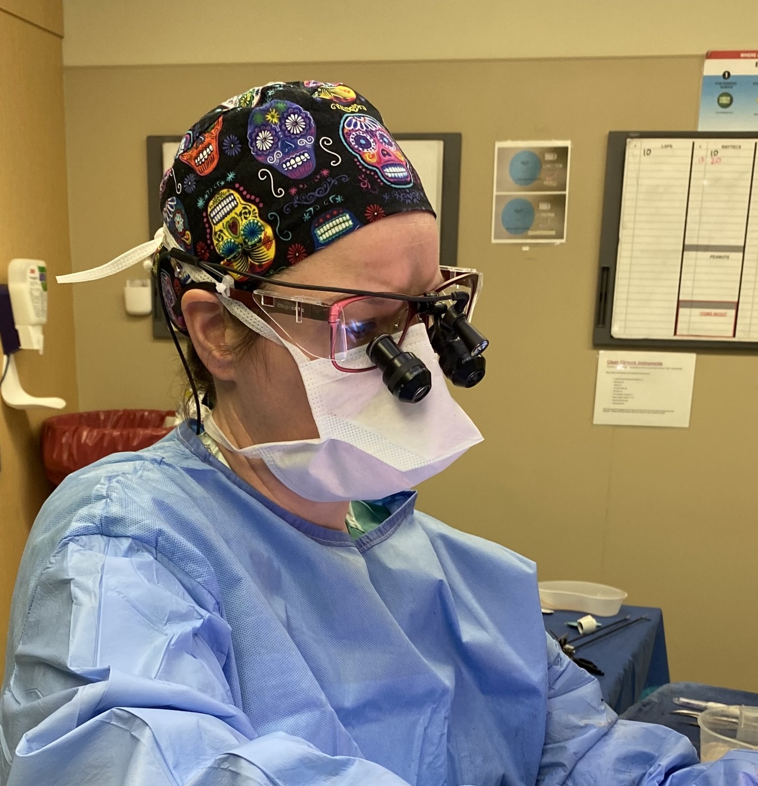 Dr. Elizabeth Hogan working in the operating room